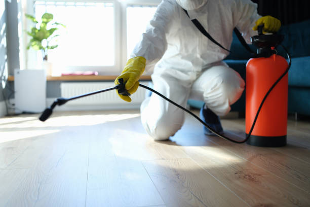 Reliable Odor Removal contractor in Primrose, NE by Trauma Clean Pros